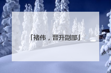 褚伟，晋升副部