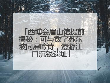 西博会眉山馆提前揭秘：可与数字苏东坡同屏吟诗，漫游江口沉银遗址