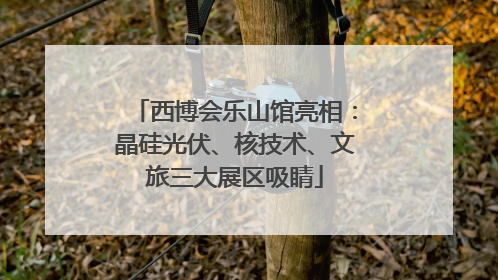 西博会乐山馆亮相：晶硅光伏、核技术、文旅三大展区吸睛