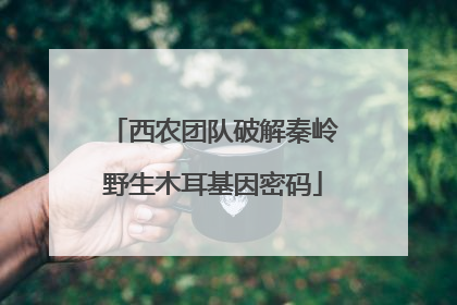 西农团队破解秦岭野生木耳基因密码