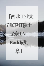 西北工业大学张卫红院士荣获J.N.Reddy奖章