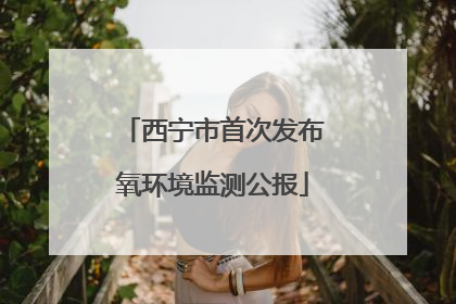 西宁市首次发布氧环境监测公报