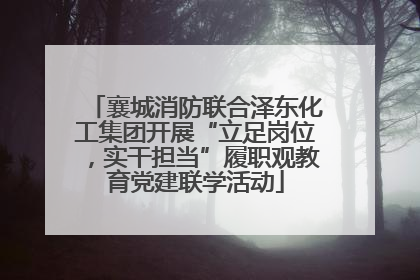 襄城消防联合泽东化工集团开展“立足岗位，实干担当”履职观教育党建联学活动