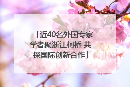 近40名外国专家学者聚浙江柯桥 共探国际创新合作