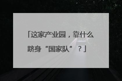 这家产业园，靠什么跻身“国家队”？
