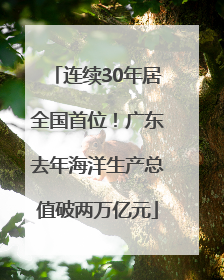 连续30年居全国首位！广东去年海洋生产总值破两万亿元