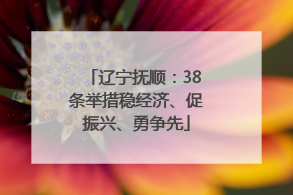 辽宁抚顺：38条举措稳经济、促振兴、勇争先
