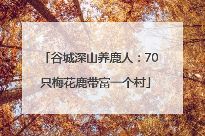 谷城深山养鹿人：70只梅花鹿带富一个村