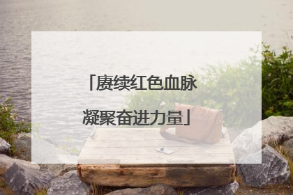 赓续红色血脉 凝聚奋进力量