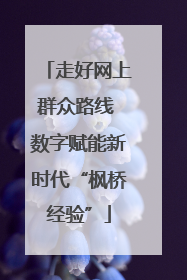 走好网上群众路线 数字赋能新时代“枫桥经验”