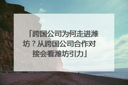 跨国公司为何走进潍坊？从跨国公司合作对接会看潍坊引力