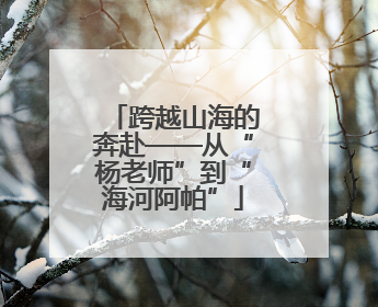 跨越山海的奔赴——从“杨老师”到“海河阿帕”