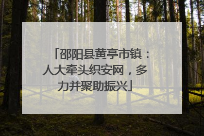 邵阳县黄亭市镇：人大牵头织安网，多力并聚助振兴