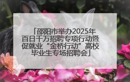 邵阳市举办2025年百日千万招聘专项行动暨促就业“金桥行动”高校毕业生专场招聘会