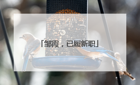 邹霞，已履新职