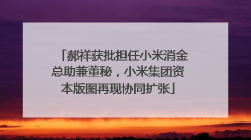 郝祥获批担任小米消金总助兼董秘，小米集团资本版图再现协同扩张