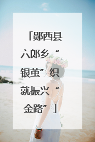 郧西县六郎乡“银茧”织就振兴“金路”