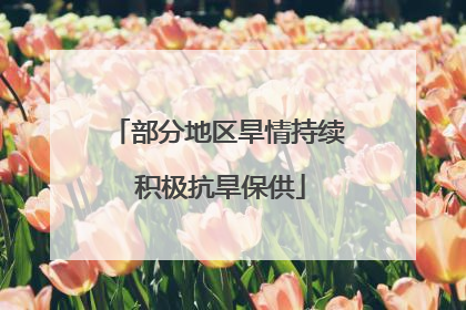 部分地区旱情持续 积极抗旱保供