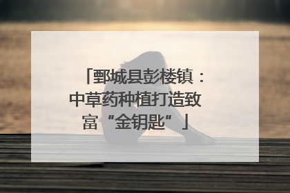 鄄城县彭楼镇：中草药种植打造致富“金钥匙”