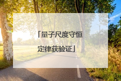 量子尺度守恒定律获验证