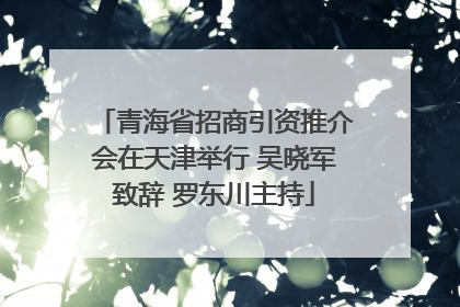 青海省招商引资推介会在天津举行 吴晓军致辞 罗东川主持