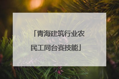 青海建筑行业农民工同台赛技能
