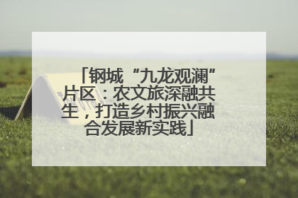 钢城“九龙观澜”片区：农文旅深融共生，打造乡村振兴融合发展新实践