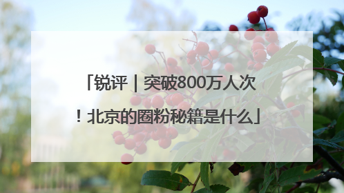 锐评｜突破800万人次！北京的圈粉秘籍是什么