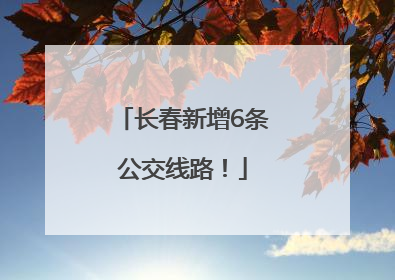 长春新增6条公交线路！