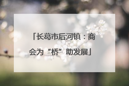 长葛市后河镇：商会为“桥”助发展