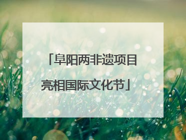 阜阳两非遗项目亮相国际文化节