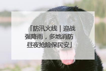 防汛火线｜迎战强降雨，多地消防昼夜抢险保民安