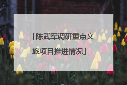 陈武军调研重点文旅项目推进情况