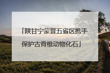 陕甘宁蒙晋五省区携手保护古脊椎动物化石