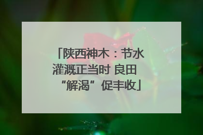 陕西神木：节水灌溉正当时 良田“解渴”促丰收