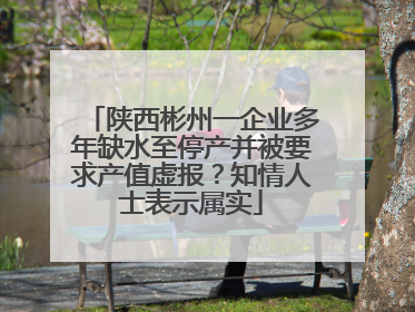 陕西彬州一企业多年缺水至停产并被要求产值虚报？知情人士表示属实