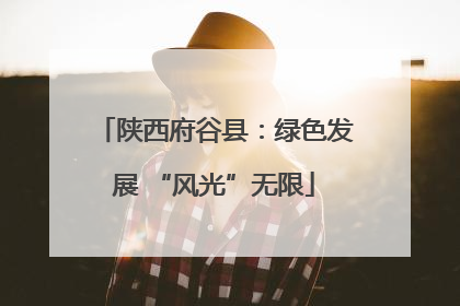 陕西府谷县：绿色发展 “风光”无限