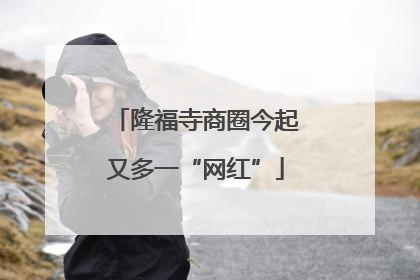 隆福寺商圈今起又多一“网红”