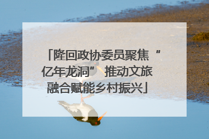 隆回政协委员聚焦“亿年龙洞” 推动文旅融合赋能乡村振兴