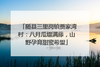 随县三里岗镇贾家湾村：八月瓜缀满藤，山野孕育甜蜜希望