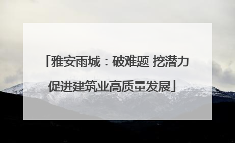 雅安雨城：破难题 挖潜力 促进建筑业高质量发展