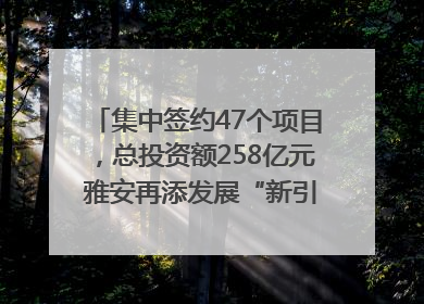集中签约47个项目，总投资额258亿元 雅安再添发展“新引擎”｜数读西投
