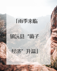 雨季来临 镇沅县“菌子经济”升温