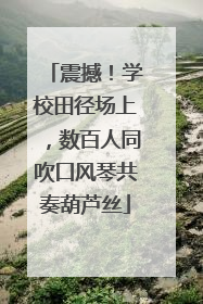 震撼！学校田径场上，数百人同吹口风琴共奏葫芦丝