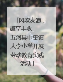 风吹麦浪，趣享丰收——五河县申集镇大李小学开展劳动教育实践活动