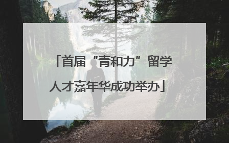 首届“青和力”留学人才嘉年华成功举办