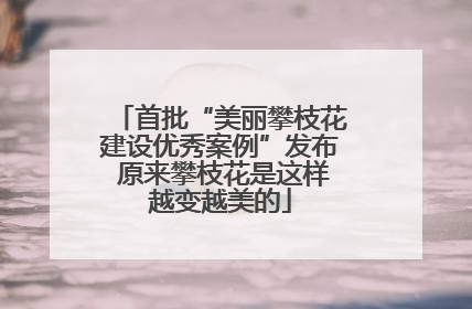 首批“美丽攀枝花建设优秀案例”发布 原来攀枝花是这样越变越美的