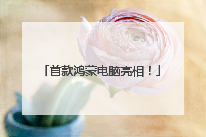 首款鸿蒙电脑亮相！
