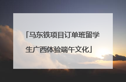 马东铁项目订单班留学生广西体验端午文化
