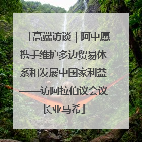 高端访谈｜阿中愿携手维护多边贸易体系和发展中国家利益——访阿拉伯议会议长亚马希
